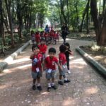 Field Trip: Japanese Garden